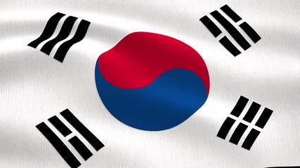 South Korean flag flying in the wind close-up