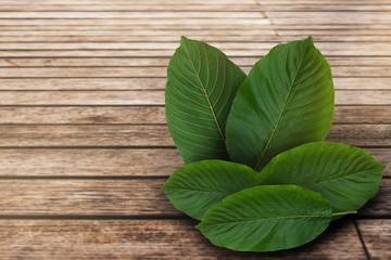 Kratom leaves, green leafy plants have benefits to help reduce fat.