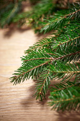 Christmas card - Christmas tree branches on the wooden background