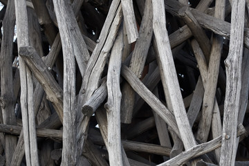 Wall of dry trunks and branches
