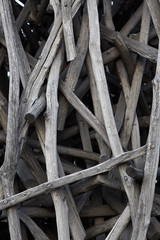 Wall of dry trunks and branches
