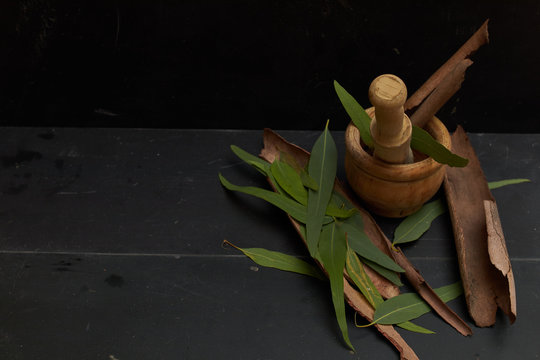 eucalyptus medicine tea over wood in dark background