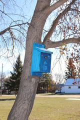 Birdhouses