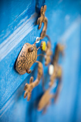 lizard decoration on blue, wood background