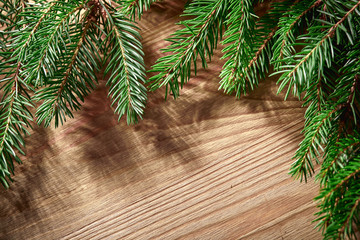 Christmas card - Christmas tree branches on the wooden background