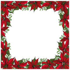 Fototapeta na wymiar Vector christmas square frame. Made from red poinsettia and cinnamon and mistletoe, on a white background. Christmas decoration on white. Vector EPS 10.