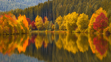 golden autumn background - colorful forest with reflection of the trees in the lake