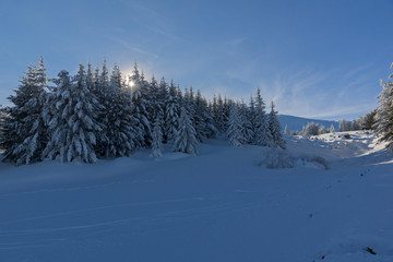 Winter landscape of Vitosha Mountain, Bulgaria
