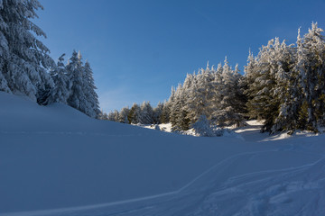 Winter landscape of Vitosha Mountain, Bulgaria