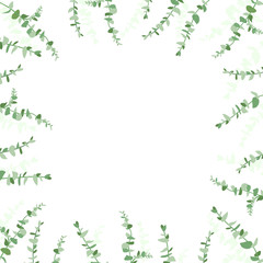 Eucalyptus leaf design background frame. Vector illustration