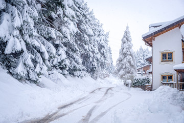 Winter landscape in the town of Neustift in the Stubai Valley in Austria. Snow covered trees after heavy snow