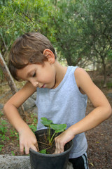 Learning the Care of the Plant