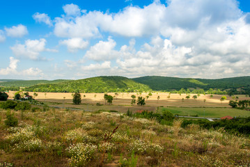 Istanbul, Turkey, 25 June 2006: Nature, Riva, Beykoz.