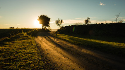 Contraluz en el camino