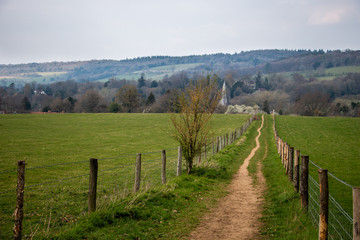 Fototapeta na wymiar Country path in field