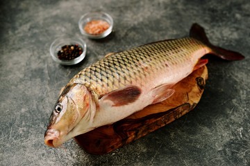 Fresh live raw carp. Fresh river fish. Wild fish. Top view. 