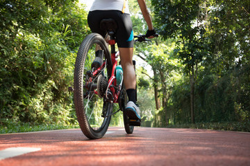 Woman cycling on bike path at park on sunny day