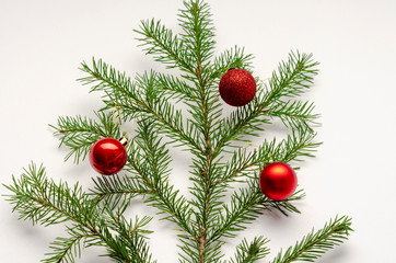 Naklejka na ściany i meble Christmas fir the branch on white background with red balls