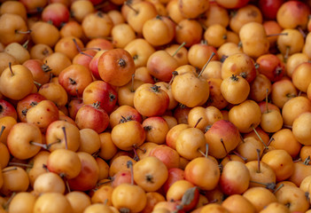 yellow little apple for kitchen and decoration.