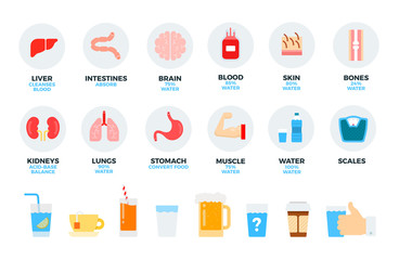 Human organs and daily drink vector flat illustration. Set with liver, brain, blood, skin, water, coffee for website (shop) and. Isolated on white