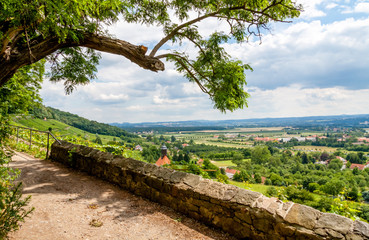 Weinberge, Elbtal Pillnitz - Dresden, Sachsen