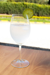  gic tonic liquor drink accompanied by lemon