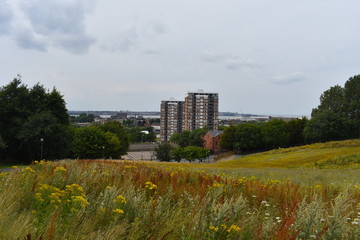 Blocks of flats in Liverpool city. View from the nearby popular with dog walkers Everton park which has multi functional playgrounds, swimming pool. Liverpool, England
