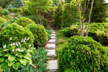 stone footpath in a garden with landscaping with bushes and a flowers.