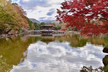 autumn landscape with river and trees