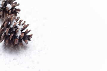 Naklejka na ściany i meble Pine cones with snow flakes on white winter christmas background