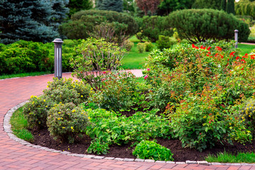 a round flower bed with a lot of different plants, such as flowers, roses, bushes, surrounded by a...