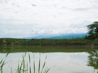 Cloudy sky over lagoon in the Peruvian jungle