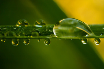 water drops on grass sunset