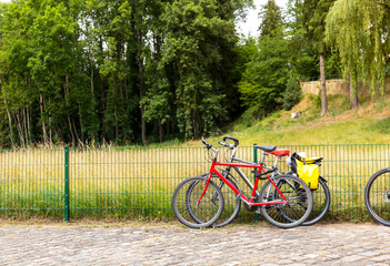 Fototapeta premium Bicycles for tourists in summer park, Europe