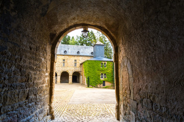 Obraz premium Cozy yard with plants on facades, Europe