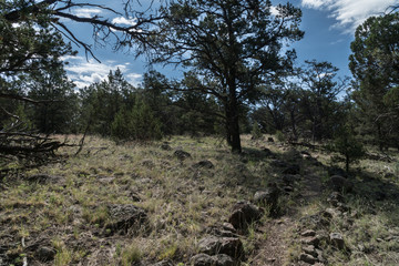 Landscape of Juniper toPinon campground hiking trail, Quemado Lake, N.M.