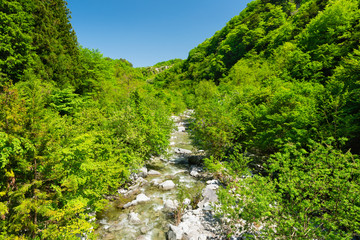 Fototapeta na wymiar Ojiragawa Valley