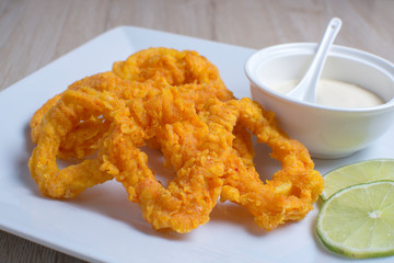  Roman squid in sauce only