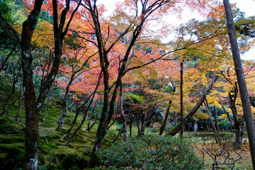銀閣寺 / Ginkakuji Temple