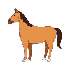 horse icon, colorful flat design