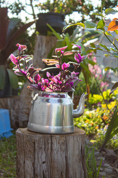 chaleira no jardim