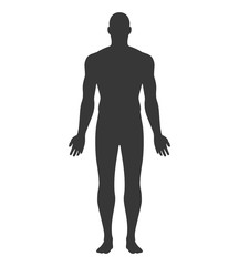 Anatomical Position Anterior View Male Body Vector Silhouette.