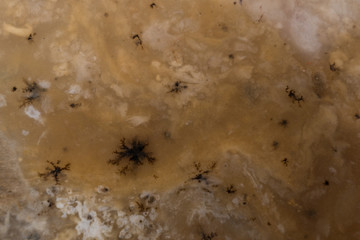 Multi colored Agate macro photo details.