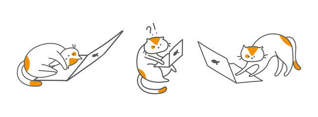 Cute cat character with laptop in different poses, design outline of cat. kitty working at the computer online. Draw doodle style. 