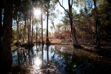 Australian bush & river bank
