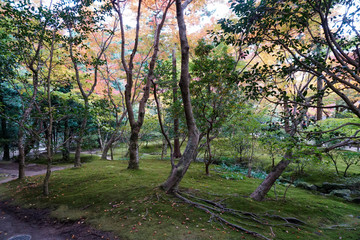 銀閣寺 / Ginkakuji Temple