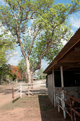 Cattle station sheds - Northern Territory Australia 