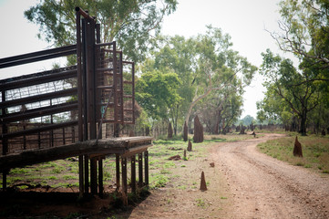 Fototapeta na wymiar Old cattle ramps on Northern Territory cattle station