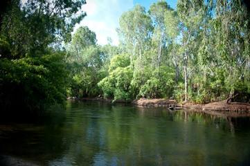 Obraz premium Mataranka river Northern Territory Australia 