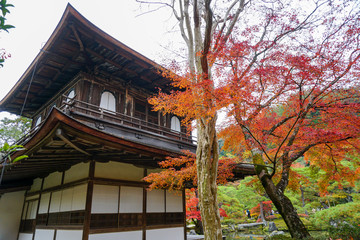 銀閣寺 / Ginkakuji Temple